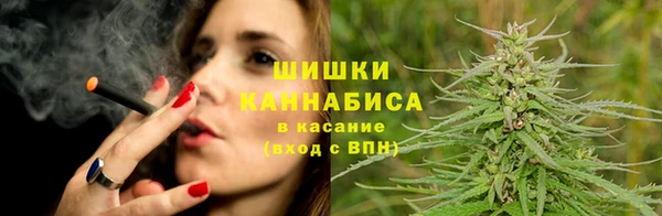 гидропоника Дмитриев