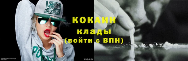гидропоника Дмитриев