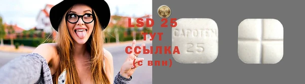 гидропоника Дмитриев