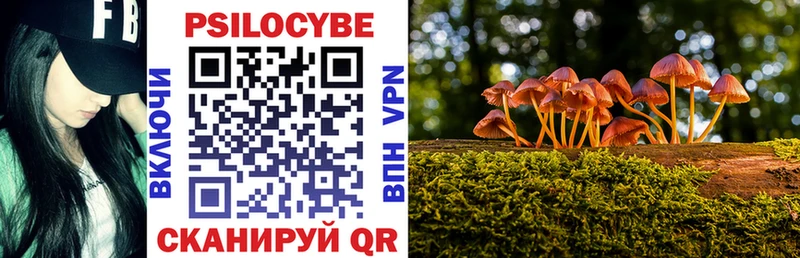 Галлюциногенные грибы Psilocybine cubensis  Купить закладки  Шарыпово 